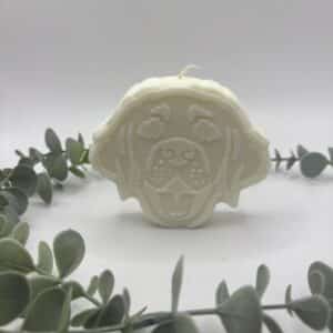 Een witte kaars in de vorm van een hoofd van een labrador.