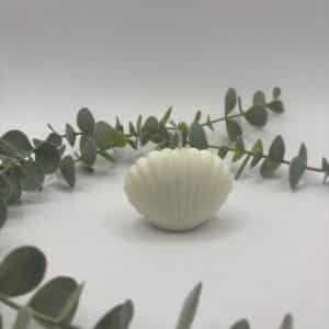 Een witte kaars in de vorm van een schelp.