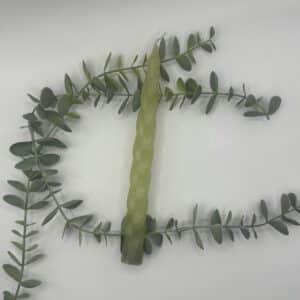 Een gif groene kaars voor een kandelaar met een geblokte krul in.