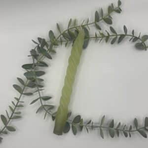 Een gif groene kaars voor een kandelaar met een smalle krul in.